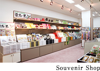 Souvenir Shop